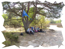 Rast im Schatten der Bäume