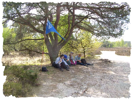 Rast im Schatten der Bume